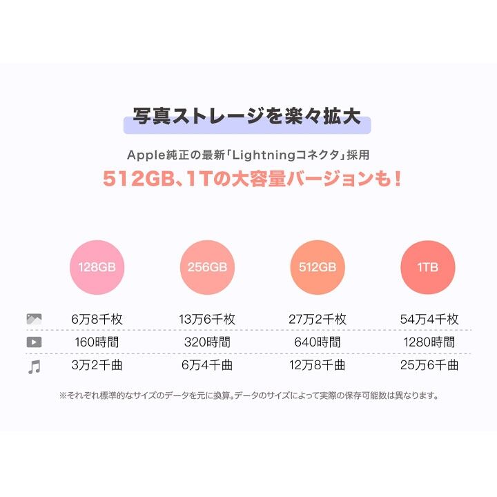 Piconizer4 128GB