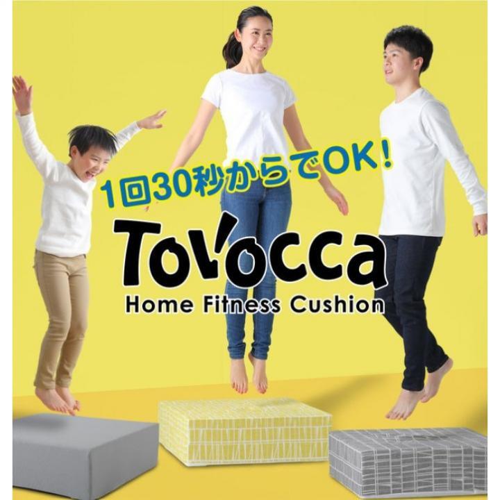 TOVOCCAメッシュ