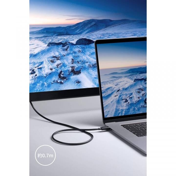 Anker USB-C & USB-C Thunderbolt 4 100W ケーブル