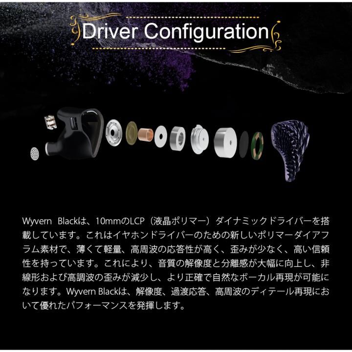 Celest Wyvern Black Pro with Boom MIC イヤホン