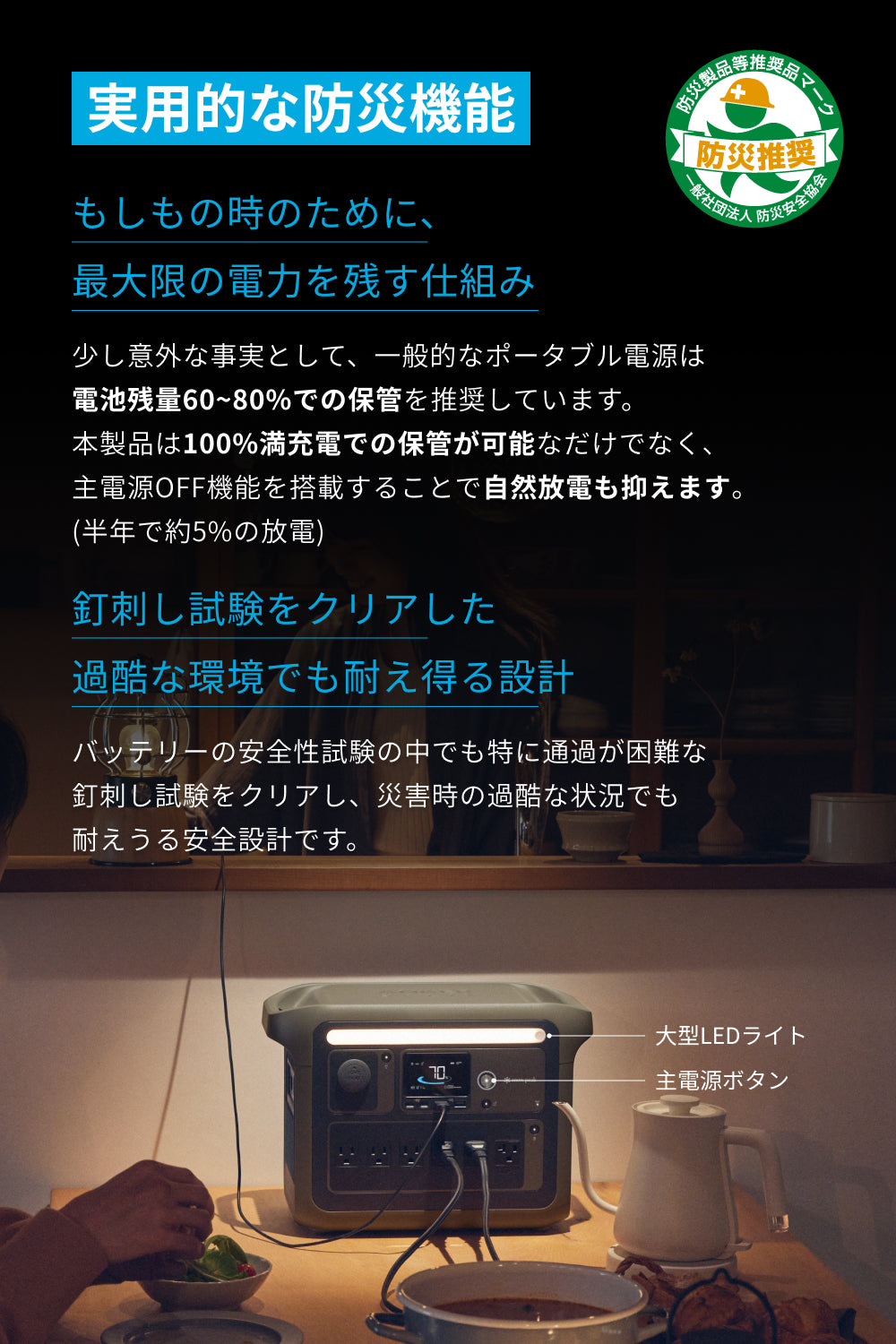 Portable Power Station 1000