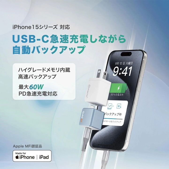 Qubii EX 1TB