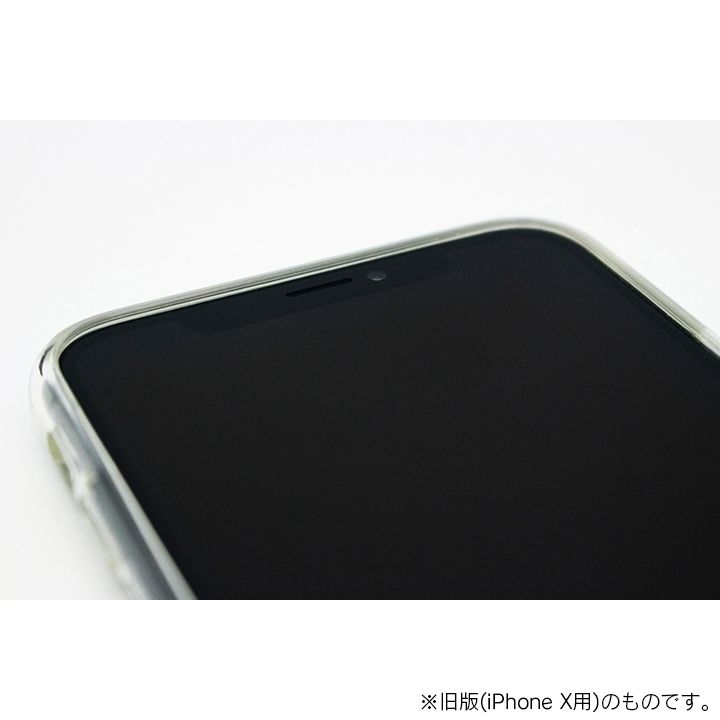 A+ 背面強化ガラス×TPUハイブリッドケース Clear Panel Case3 for iPhone XR