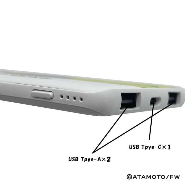 タヌキとキツネ 4,000ｍAhモバイルバッテリー パターンA