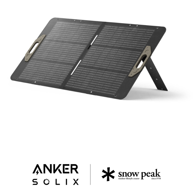 Portable Solar Panel 100