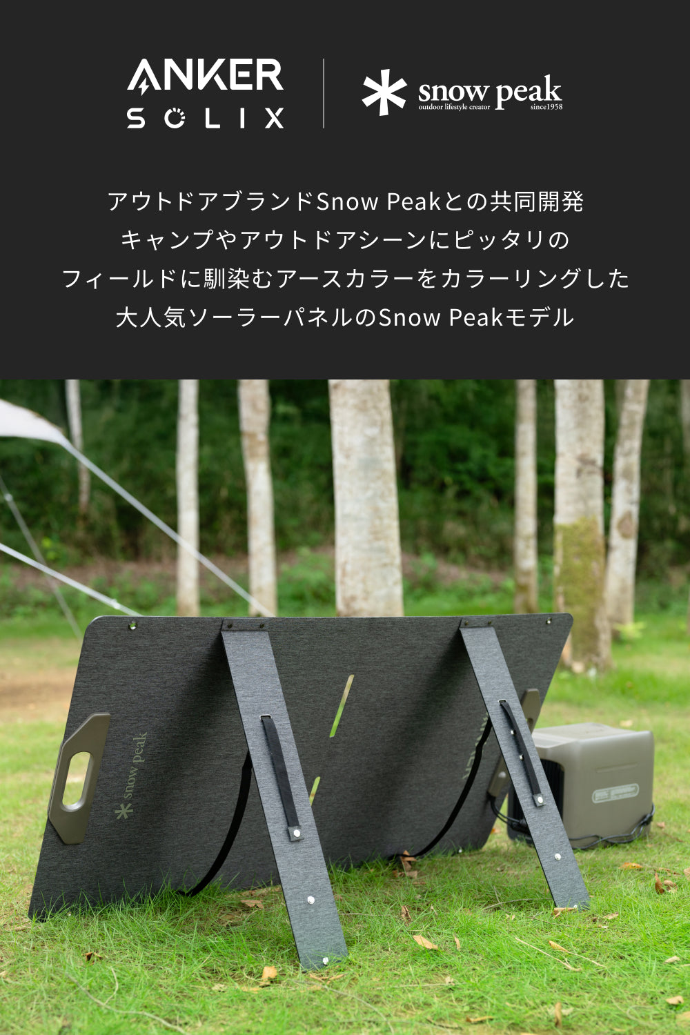 Portable Solar Panel 100