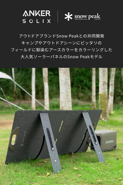 Portable Solar Panel 100