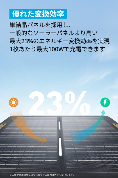 Portable Solar Panel 100
